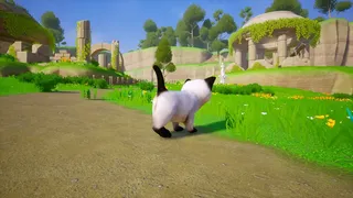 Скриншот 1 к игре Cat Go! Ultimate Challenge