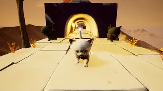 Скриншот 8 к игре Cat Go! Ultimate Challenge