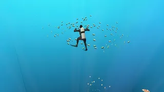 Скриншот 3 к игре Relax It's Aqua