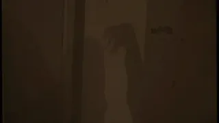 Скриншот 7 к игре Flesh Eating Geriatric Internet Predator