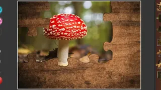 Скриншот 3 к игре Gnome Jigsaw Puzzles