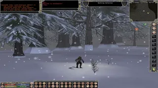 Скриншот 1 к игре Shadowbane