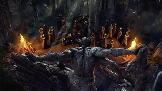 Скриншот 4 к игре The Elder Scrolls Online - Blackwood