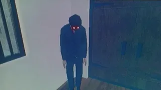Скриншот 3 к игре The Fridge is Red