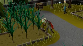 Скриншот 8 к игре Old School RuneScape