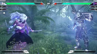 Скриншот 3 к игре INFINITE VERSUS: 3D MUGEN