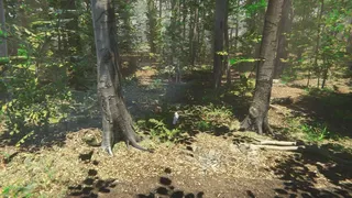 Скриншот 1 к игре Bird