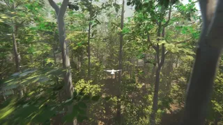 Скриншот 2 к игре Bird
