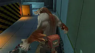 Скриншот 1 к игре WolfTeam: Classic