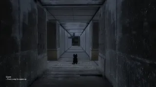Скриншот 4 к игре Black Cat