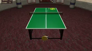 Скриншот 5 к игре Table Tennis Pro