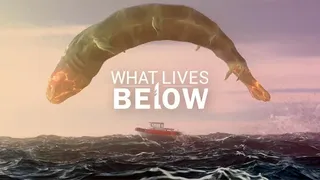 Скриншот 6 к игре What Lives Below