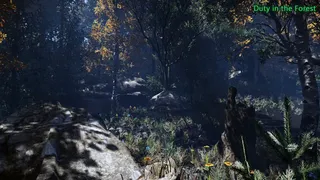 Скриншот 5 к игре Duty in the Forest