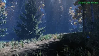 Скриншот 6 к игре Duty in the Forest