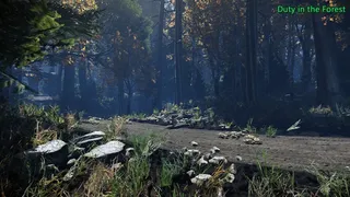 Скриншот 8 к игре Duty in the Forest