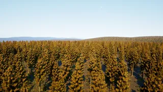 Скриншот 2 к игре {Undefined}
