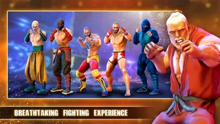 Скриншот 1 к игре Deadly Fight