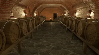 Скриншот 2 к игре Winery Simulator