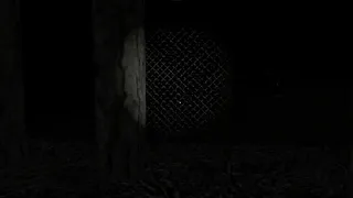Скриншот 7 к игре Raige