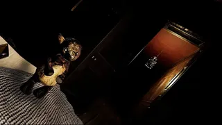 Скриншот 1 к игре Sleep Tight