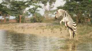 Скриншот 3 к игре Animalia Survival