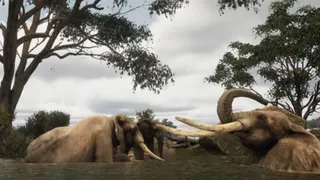 Скриншот 4 к игре Animalia Survival