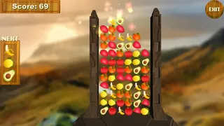 Скриншот 3 к игре Fruit Row