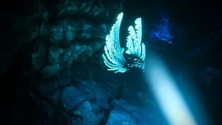 Скриншот 4 к игре Biolum