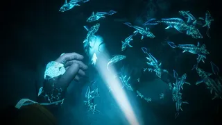 Скриншот 6 к игре Biolum