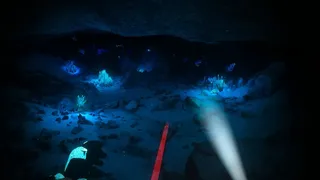 Скриншот 7 к игре Biolum