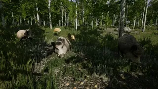 Скриншот 1 к игре Territory