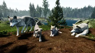 Скриншот 2 к игре Territory
