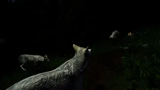 Скриншот 4 к игре Territory
