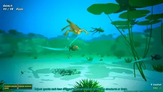 Скриншот 5 к игре Frog Jungle
