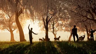Скриншот 4 к игре VR Nara Park