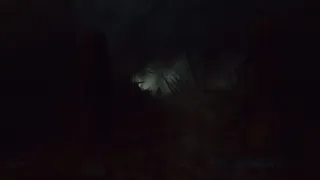 Скриншот 1 к игре Dark Forest: Lost Story VR