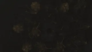 Скриншот 5 к игре BURNT ASHES