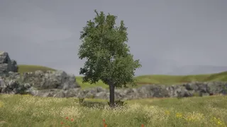 Скриншот 4 к игре Tree Simulator 2022