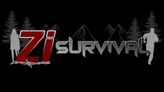 Скриншот 4 к игре ZI Survival