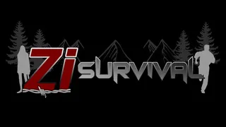 Скриншот 5 к игре ZI Survival