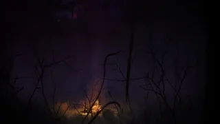 Скриншот 1 к игре Finsterwald