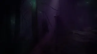 Скриншот 3 к игре Finsterwald