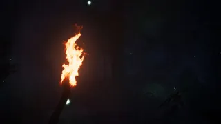 Скриншот 4 к игре Finsterwald