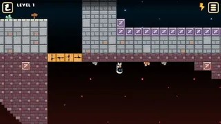 Скриншот 2 к игре Crazy Gravity