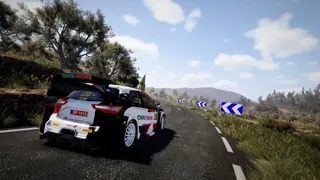 Скриншот 8 к игре WRC 10 FIA World Rally Championship