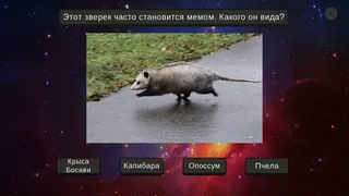 Скриншот 6 к игре МЕМОЛОГИЯ