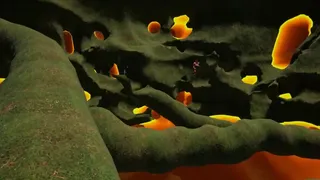 Скриншот 2 к игре Robo-Worms