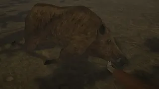 Скриншот 1 к игре Hog Hunter 2021
