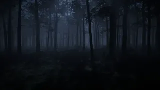 Скриншот 4 к игре Caught in Nowhere