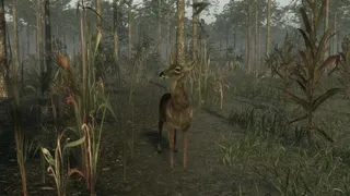 Скриншот 3 к игре Pro Deer Hunting 2